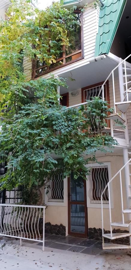 Гостиница Guest House Golitsyna 14 Новый Свет-40